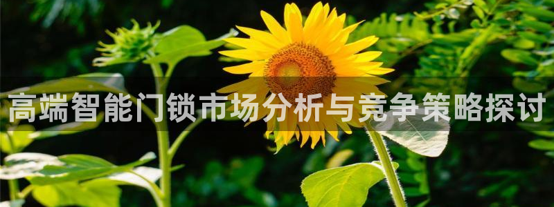 利记国际线址官网：高端智能门锁市场分析与竞争策略探讨
