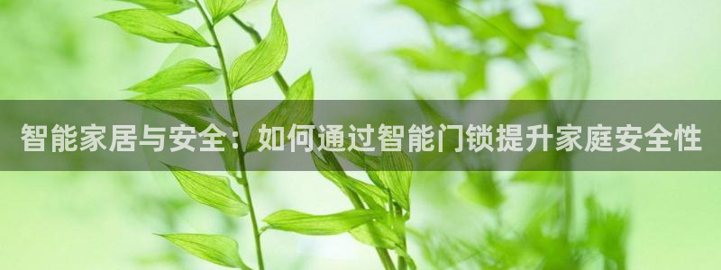 利记投注平台官网：智能家居与安全：如何通过智能门锁提升家庭安
