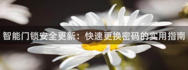 利记体育官网地址：智能门锁安全更新：快速更换密码的实用指南
